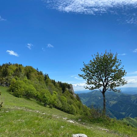 Apartman Viki Banska Bystrica Bagian luar foto