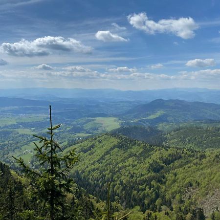 Apartman Viki Banska Bystrica Bagian luar foto