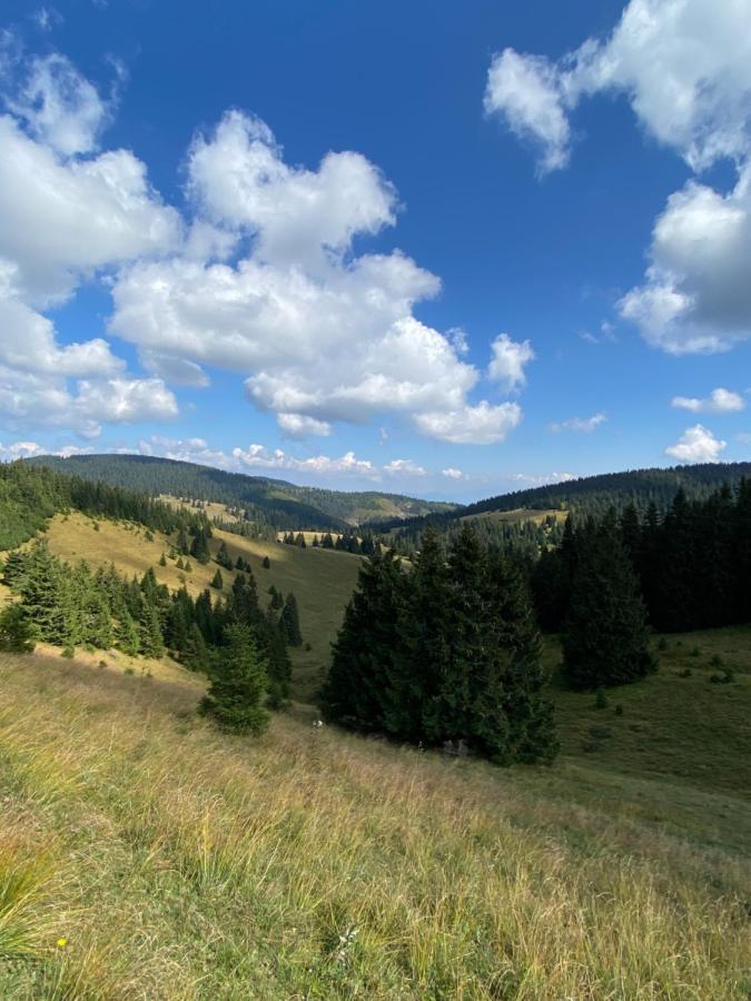 Apartman Viki Banska Bystrica Bagian luar foto