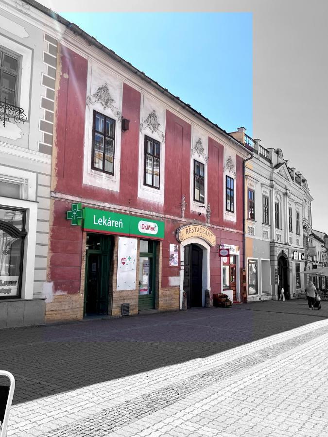 Apartman Viki Banska Bystrica Bagian luar foto
